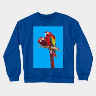 Red Macaw Parrot Watercolor Painting on Blue Crewneck Sweatshirt
